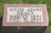 Austin Adams Healy Tombstone.jpg (142475 bytes)