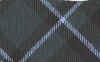 MacCallum Tartan.jpg (197037 bytes)